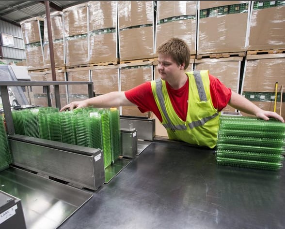 Hickman’s goes green with egg packaging