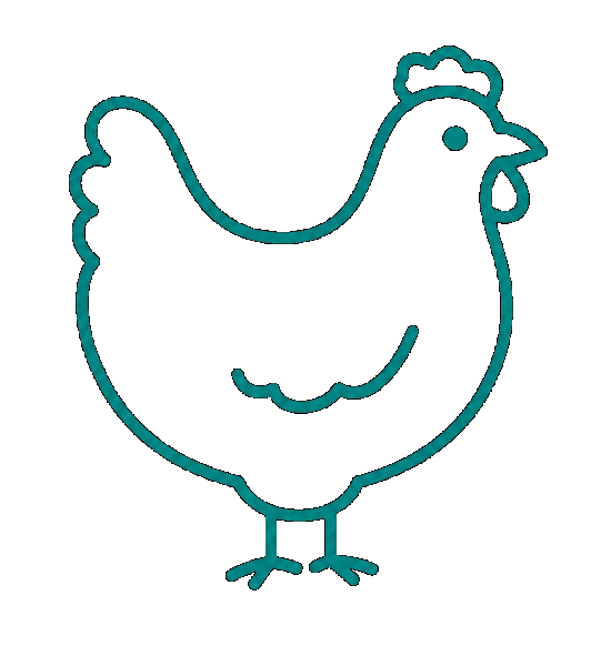 Cage-Free Eggs icon
